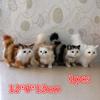 1pcs Crafts Simulation Animal Simulation Cute Cat Car Ornaments Creative Gifts Home Accessories