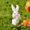 Miniature Garden Ornament Adorable Cartoon Animal Carrot House Garden Resin Accessories Craftwork