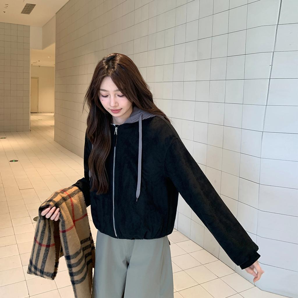 Casual hooded short fleece thick coat women's autumn and winter new small retro Maillard jacket