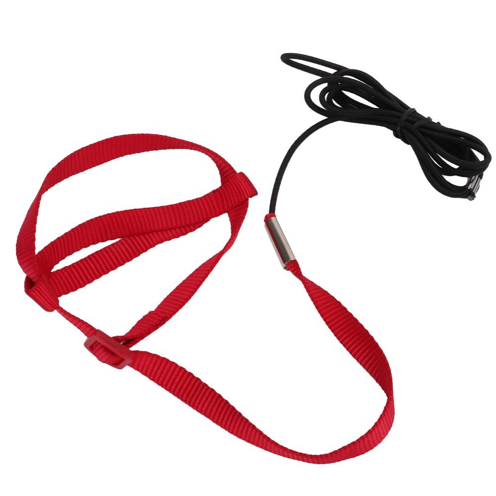 Bite Resistant Bird Training Leash Adjustable Design Pet Harness Leash For Walking