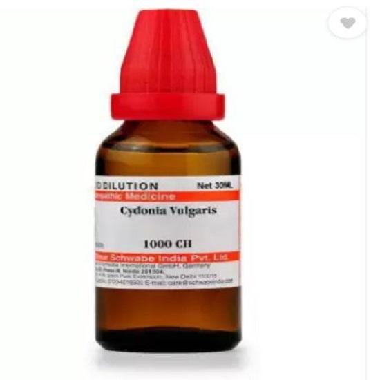 Dr Willmar Schwabe India Cydonia Vulgaris Dilution 30 ML Бесплатная доставка