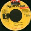 7-дюймовая пластинка WAYNE WONDER Missing You PNS1482 Penthouse Recor 1992 Ямайка Регги Ска Даб Б/у