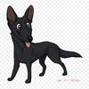 Dog Breed Australian Kelpie Iron On Heat Transfer Printing Vinyl Patches Sticker for Clothes DIY Appliques Washable Patches
