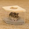 Star Moon Shape Hamster Bathtub Anti-leak Hamster Bathroom Golden Bear Bath Toilet  Pet Cleaning