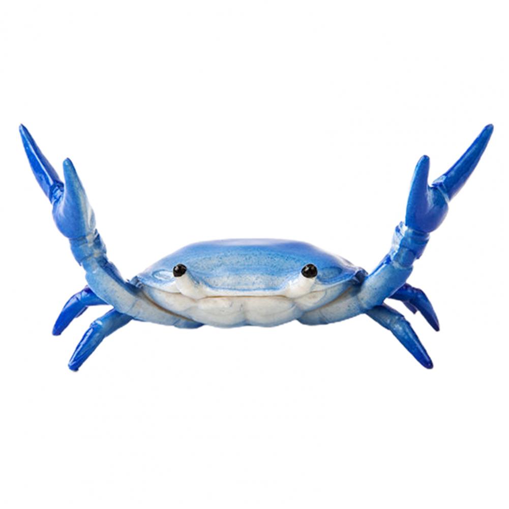 Легко держать, полезный держатель для крабовой ручки для тяжелой атлетики, яркий цветной держатель для крабовой ручки, имитация для студентов