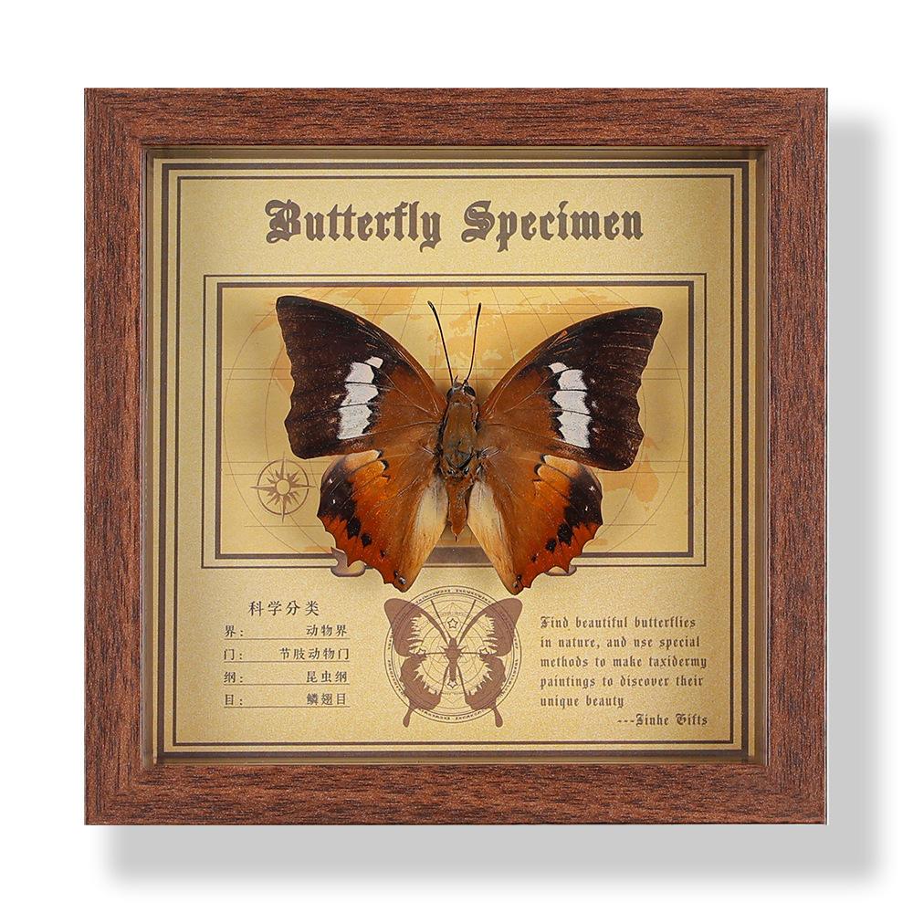Фото рамка с настоящим specimen бабочки, декоративная картина, 3D украшение, ручная работа DIY, подарок на день рождения, specimen насекомого