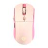 Zhanwei M30 Silent Dual Mode Wireless Mouse