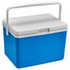 5L Barbecue Insulation Box with Handle Food Storage Cooler Box Heat Preservation Fresh-Keeping Incubator for Camping Tailgating