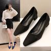 2025 spring and autumn new Korean version pointed head light mouth suede single shoes thick heel high heels middle heel versatile work shoes women