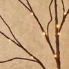 White Birch Branch Light LED Festive Lights Battery Operated For Christmas Party Wedding Decoration Twig Outdoor Lights
