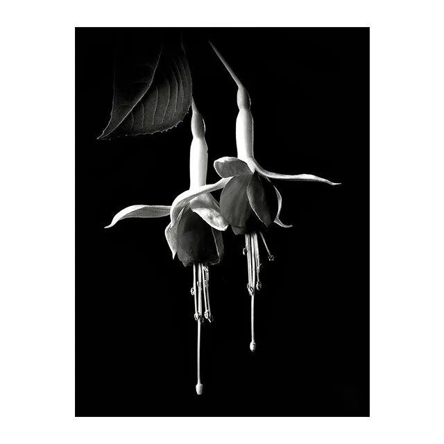 Черно-белые цветы подсолнуха, лилии, принты, постер, холст, живопись, современные настенные художественные картины для гостиной, спальни, домашний декор, без рамки