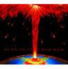 CD BOW WOW - Asian Volcano VPCC84506 Vap 2000 Japan ObiRock Used