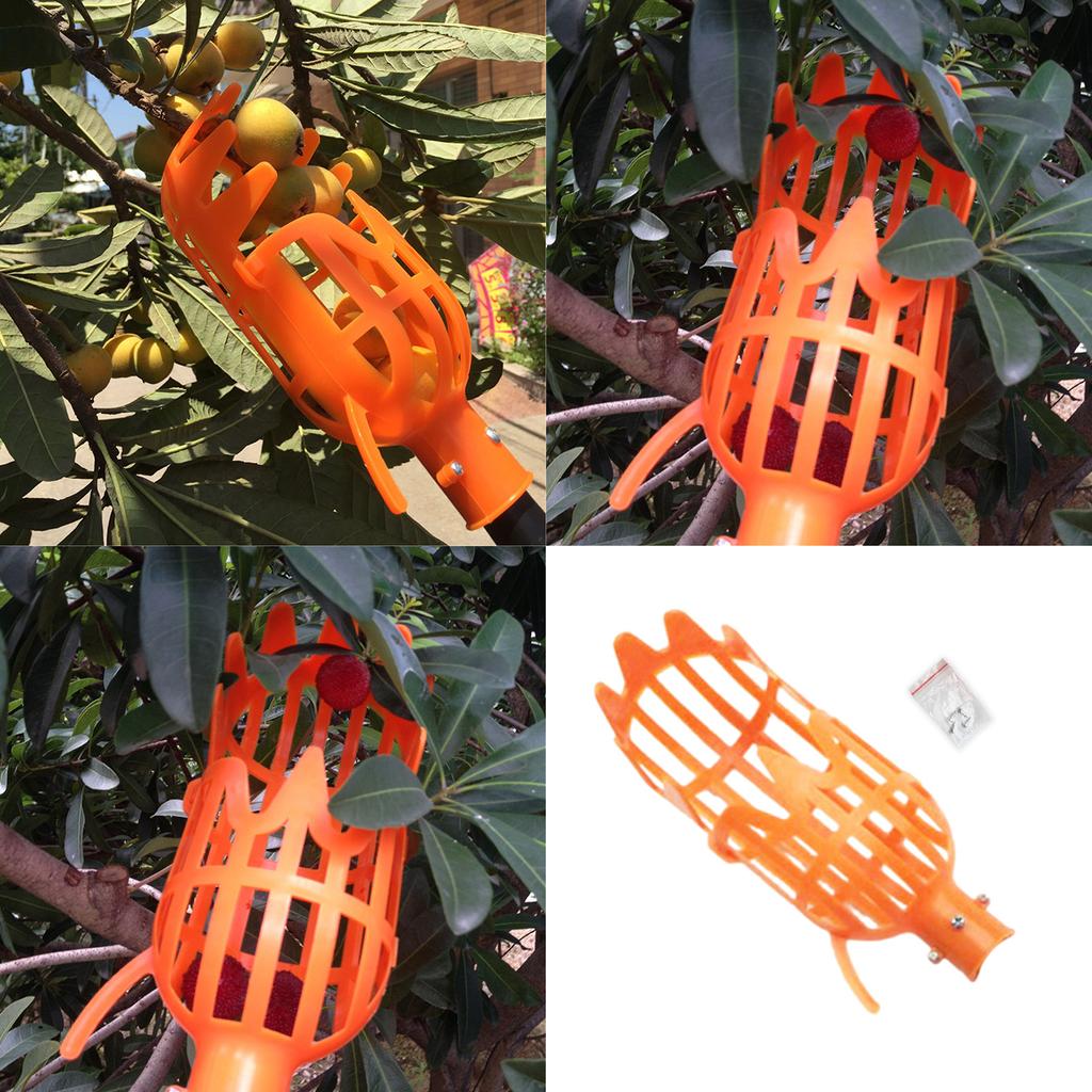 Инструмент для сбора фруктов Инструмент для сбора фруктов с деревьев Пластиковый захват для фруктов Инструмент для сбора лимона, груши, авокадо, желудя, персика