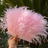 Feather1/5/10Meters Colorful Ostrich Feathers Trims for Crafts Christmas Dress Sewing Natural 6-8cm Ostrich Plumes Decor Accessories