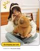 Cute Plush Capybara Doll & Pillow - Lying Version Birthday Gift
