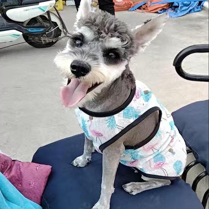 Summer Cat Dog Vest for Small Dogs Cats Mesh Pet Clothes Clothing Puppy Tshirt Yorkshire Shih Tzu Shirts Roupa Para Cachorro