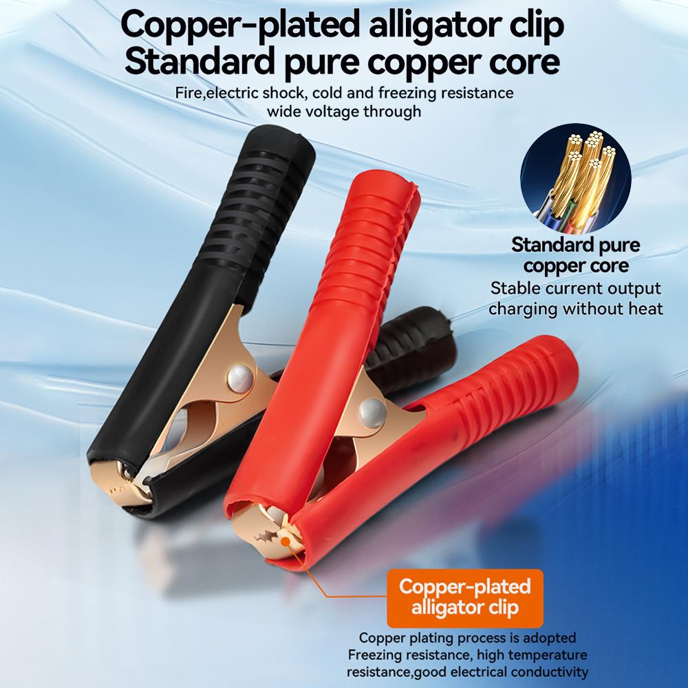 Зарядные устройства для автомобильных аккумуляторов 24 В 12 В Полностью автоматическая импульсная зарядка для свинцово-кислотных аккумуляторов Бытовое зарядное устройство для накопительных элементов Высокая мощность 300 Вт