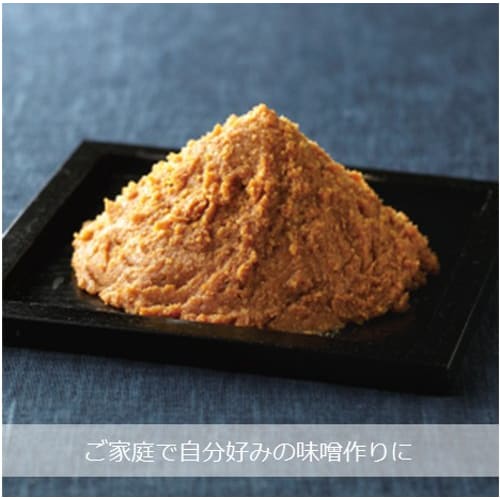 Risu Miso Container, Beige, 11L, 11-Type, with Miso Making Guide, Made In Japan