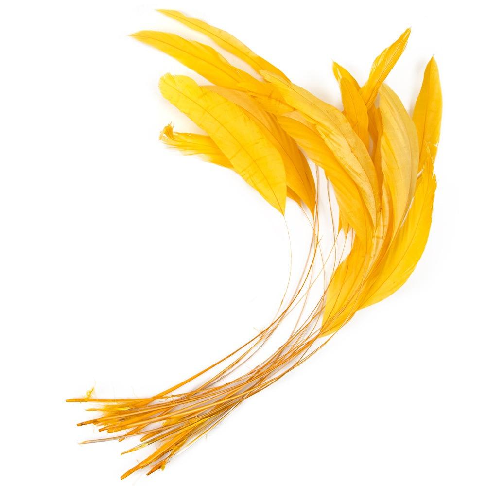 10Pcs Multicolor Rooster Feather Natural Feather Clothing Accessories Feathers Headwear Accessories