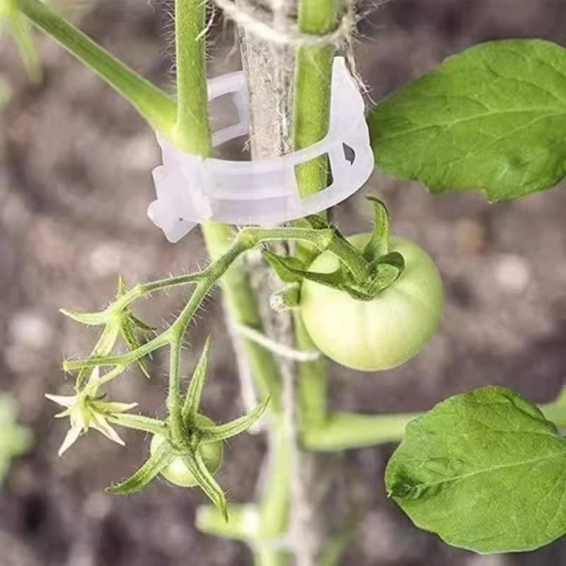 Green Plant Support Clips & Vines for Seedlings