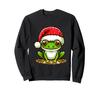 Frog Sweatshirt with Santa Hat