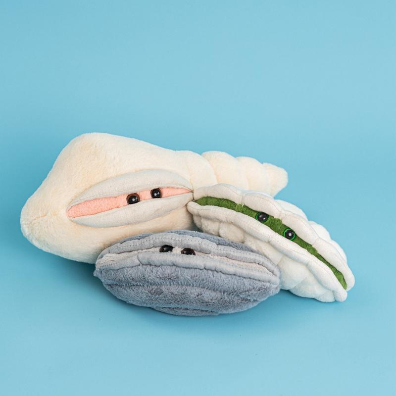 Cure Big-eyed Conch Shells Bear Plush Toy Soft Home Decoration Christmas Gift Children's Birthday Gift companion gift for Kid