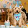 Cute Pet Birthday Caps Adjustable Cat Triangle Scarf Dog Dress Up Dog Birthday Bib  for Dogs Cats