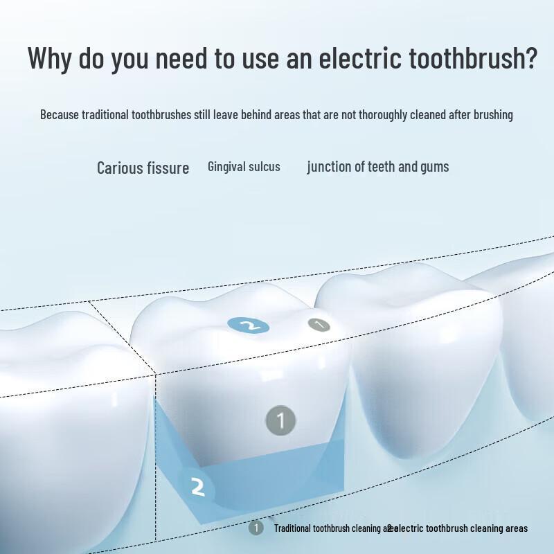 Bair A6 Rechargeable Sonic Electric Toothbrush CN plug (adapter included)