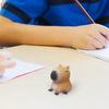 Капибара Быстроотскакивающая Сжималка Каваи Коричневые Сжималки Мультяшная Капибара Снятие Стресса Декомпрессия Сенсорные Игрушки Взрослые