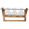 Plant Terrarium with Wooden Stand Glass Vase Desktop Glass Planter for Home Office Decoration(Wood