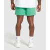 Gymshark Шорты Lifting Mesh 7 Лагунный зеленый A6a3o Ech2