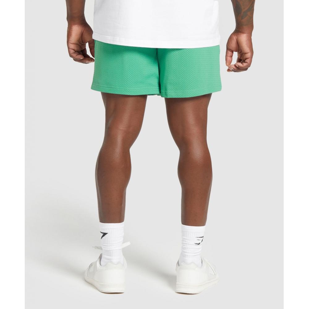 Gymshark Шорты Lifting Mesh 7 Лагунный зеленый A6a3o Ech2