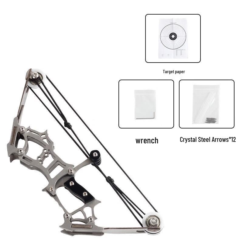 Longzhan Outdoor Compound Bow and 12-Arrow Set