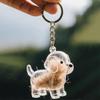 Dog Hair Collection Pendant Hair Storage Box Bag Charm Pet Pendant Transparent Hair Storage Capsule Dog Souvenirs Gift