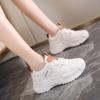 Mesh Casual Shoes Spring Style Fashionable Color Blocked Thick Soled Student Sports Shoes