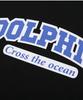 DOLPHIN WAVE APPAREL Черная футболка с коротким рукавом и многослойным арочным логотипом