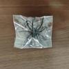 1Pc Spider Play Earring Comfortable Wear Giant Statement Spider Decor