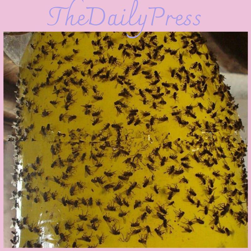 Премиум 5 шт. Наружные желтые липкие клеевые листы-ловушки для летающих вредных насекомых