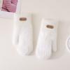 Korean Style Solid Color Gloves Plush Cycling Driving Gloves Cute Full Finger Mittens  Girls