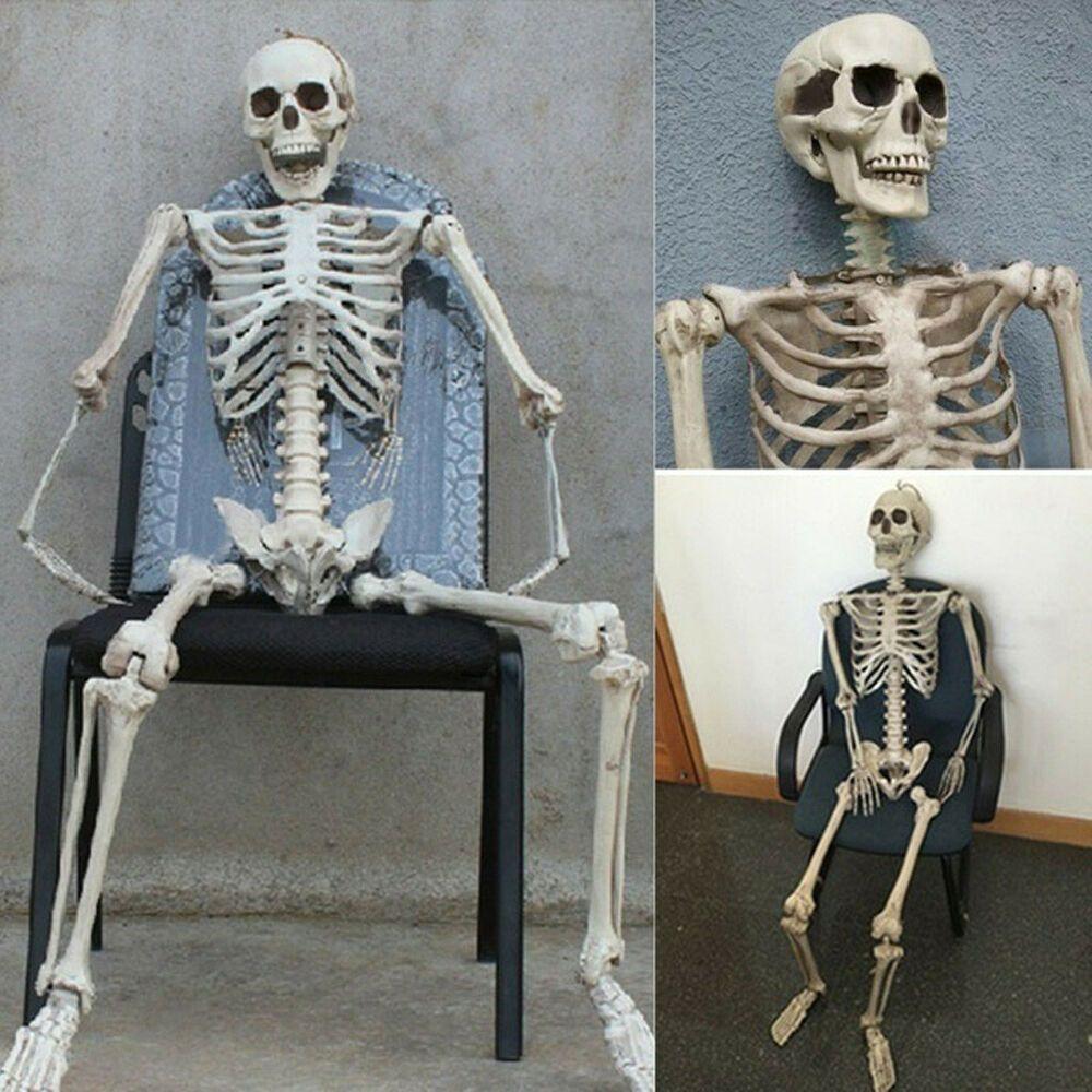 Toys Haunted House Decoration Bone Model Halloween Human Skeleton Body Figurine Pumpkin Skull