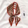 Scarf for Women's Spring and Summer New Korean Version Letter F Decorative Scarf Thin Long Ribbon Hairband Tie Bag