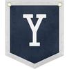 Handmade Felt Alphabet Pennant Banner for Nursery Room Decor - Navy Blue & Beige Educational Wall Hanging for Kids Room 11.8 x 13.8 Inches (B)