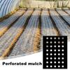 10M Black PE Film Garden Vegetable Membrane Agricultural Seeding Plastic Perforated Plants Mulching 5Holes 95cm Width