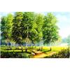 Полный 5D Diy Алмазная картина Живописный лес Алмазная вышивка Крестом Домашний декор Подарок ручной работы