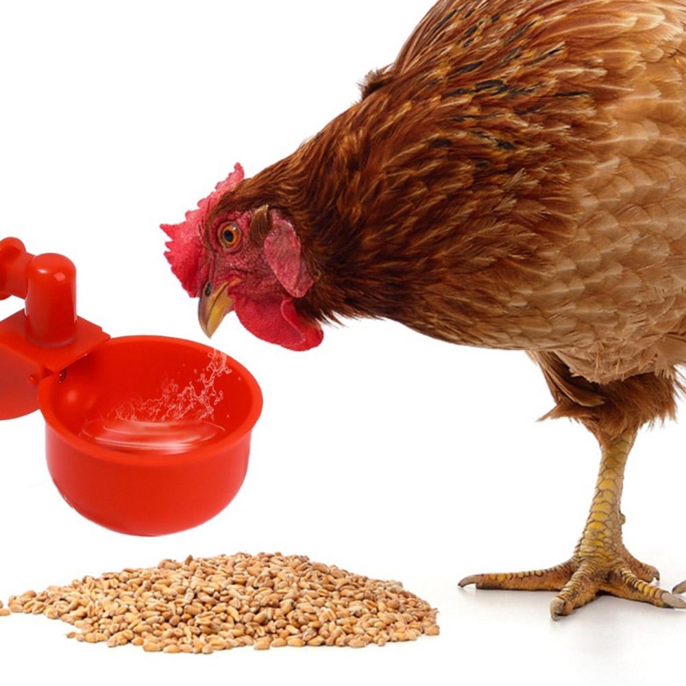 10 шт., чашка для питья курицы и утки, автоматическая поилка, кормушка для цыплят, пластиковые чашки для питья воды на птицеферме, простая установка