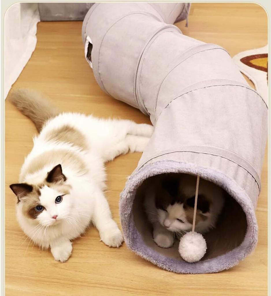 KANSITA Cat Tunnel Cat Toy Cat Tunnel with 4 Holes Foldable Cat Toy Stress Relief Convenient Storage Pet Tunnel Cat Tunnel Suede Interesting Hidden