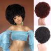 Women Fashion Short Black Hair Wigs Afro Curly Wig for Women Synthetic Fiber Wig