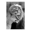Король и королева Лев, черно-белая картина на холсте, постеры с животными, принты для гостиной, спальни, любви, семьи, настенные художественные фотографии, современный домашний декор, Куадрос