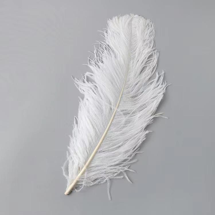 10PCS 45-50cm Colorful Big Feathers Ostrich Table Flower Table Flower Wedding Decoration Ostrich Feathers