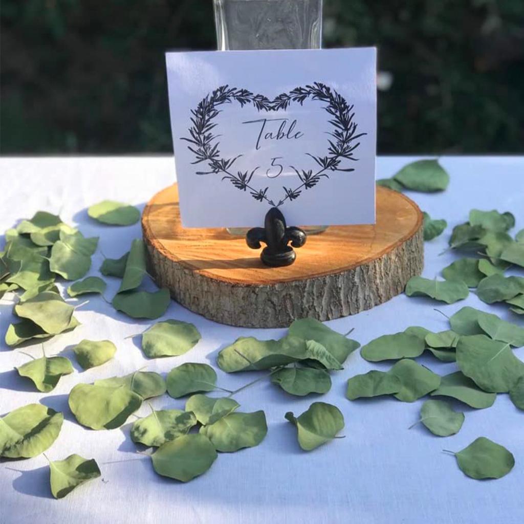 100 г сушеных настоящих листьев эвкалипта 100% натуральный серебряный доллар эвкалипт зеленые листья для свадебного венка своими руками украшение для детского душа торта(Около 200 шт.)